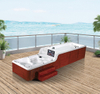 BG-6613 New popular Swimspa with New Design Decoration Stainless Steel 304 Cobra Waterfall outdoor